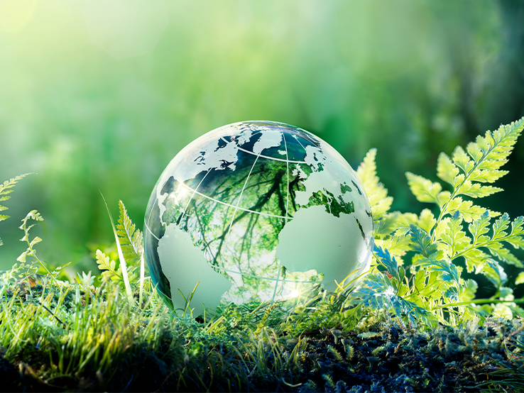 sustainability