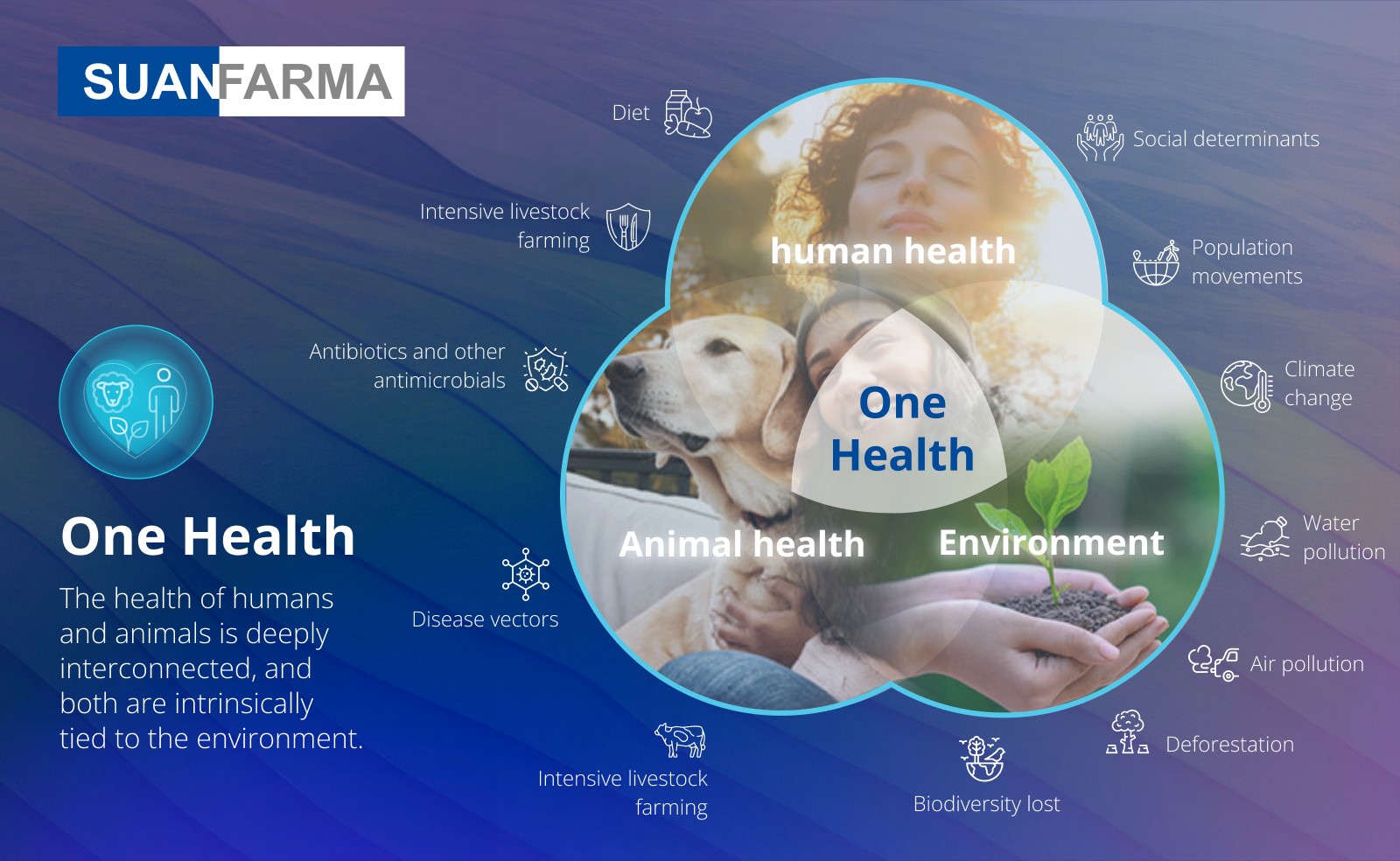One Health: Human, Animal & Environmental Health | Suanfarma