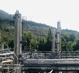 SUANFARMA Italia
